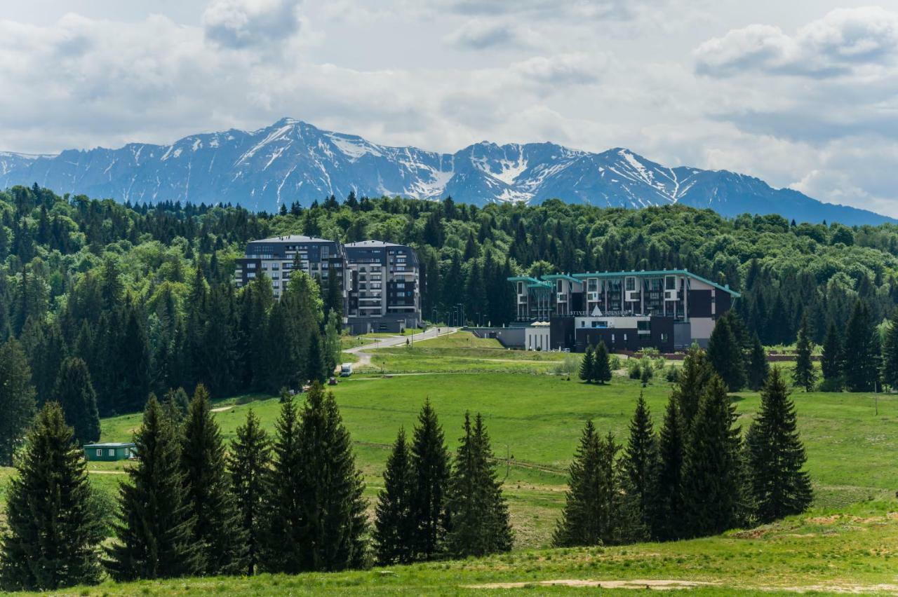Timber View Apartment Silver Mountain Poiana Brasov Extérieur photo