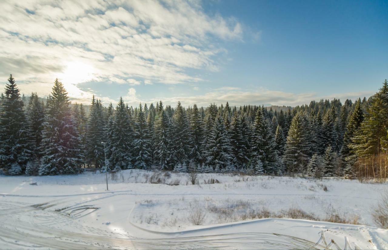 Timber View Apartment Silver Mountain Poiana Brasov Extérieur photo